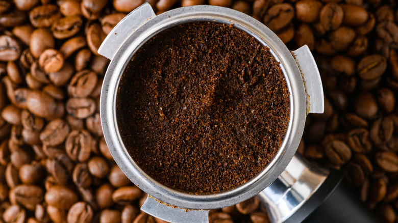 A coffee filter with wet coffee grounds