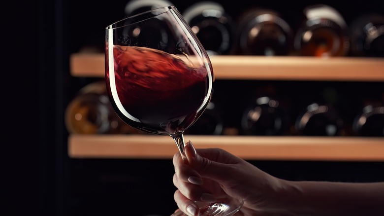 expert swirling glass of wine