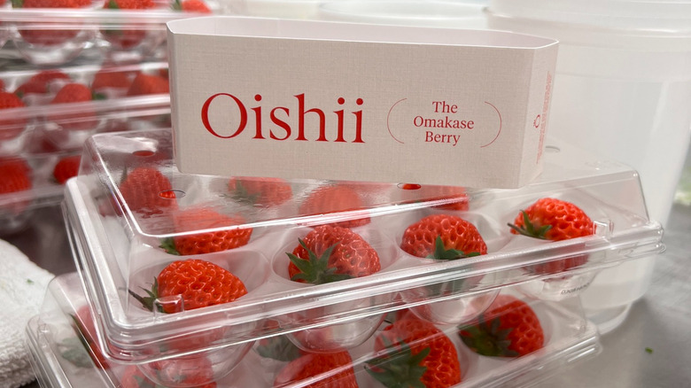 Oishii strawberries 
