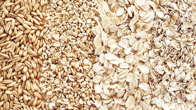 groats, steel-cut, rolled, and quick oats in a line