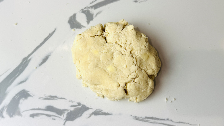 Pie dough formed into a rough disk