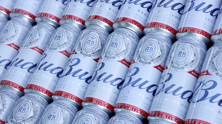 Many cans of Budweiser stacked