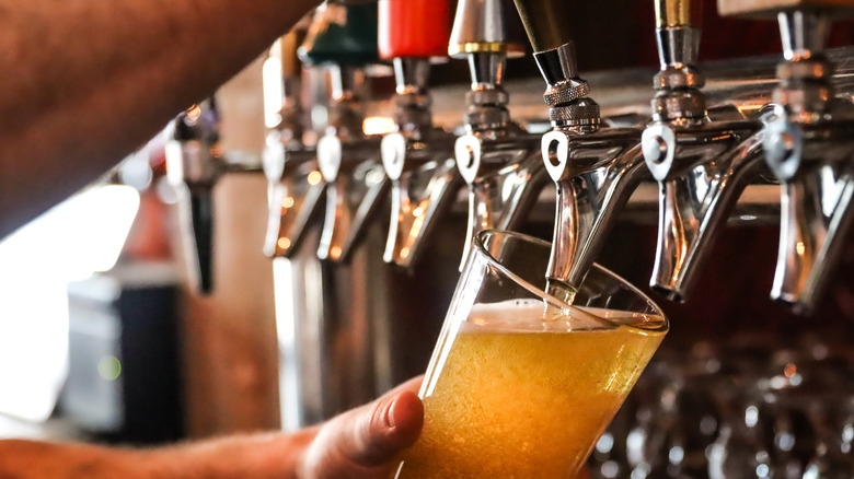 closeup of bartender getting a beer on tap
