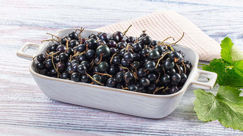 Dish of fresh ripe black currants