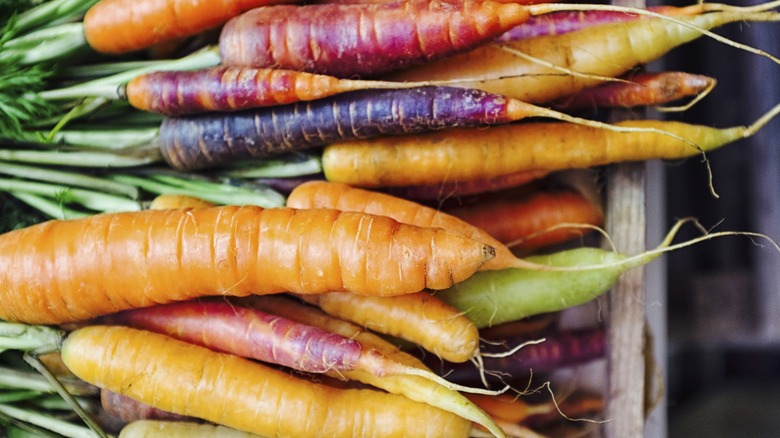 Rainbow heirloom carrots