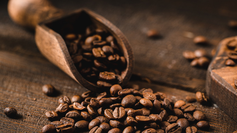 A wooden scooper among spilled coffee beans
