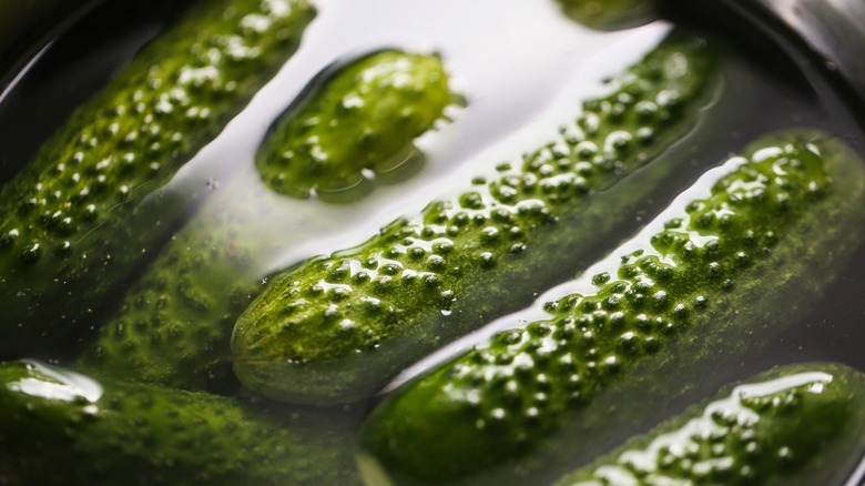 Pickles floating in brine