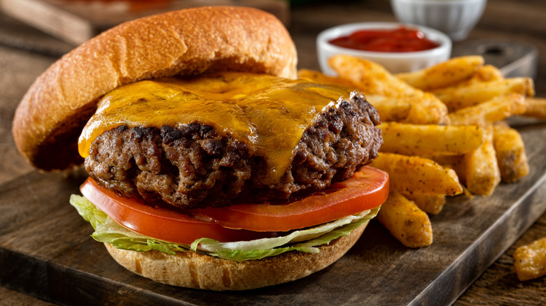 Burger on a bun with cheese and veggies with fries