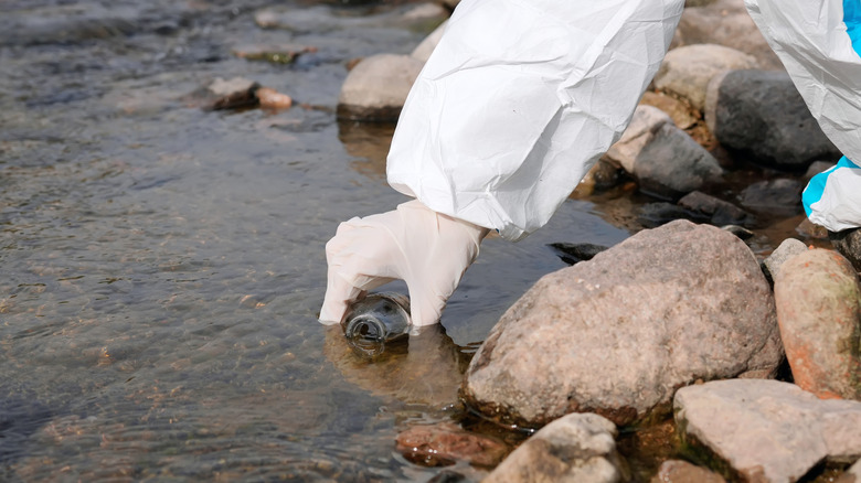 A scientist's hand reaches into a stream to take a sample.