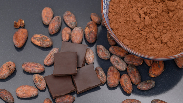 Cocoa powder with beans and chocolate pieces