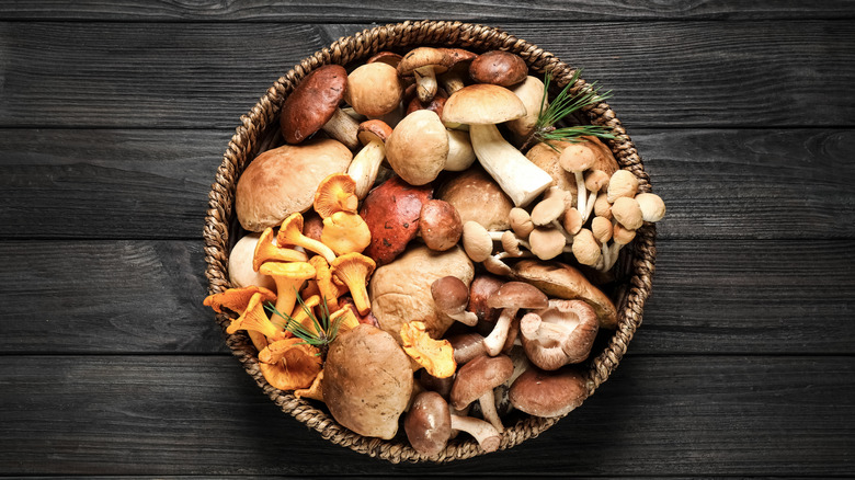 basket with variety of mushrooms