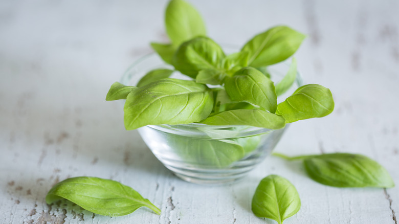 basil leaves in glass bowl
