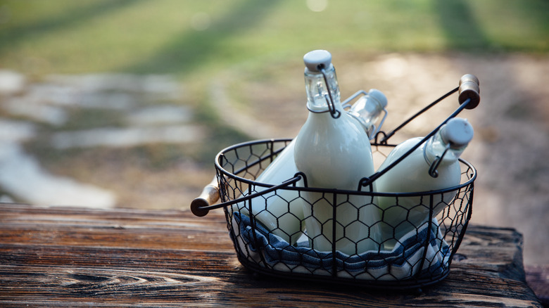 basket of milk in bottles