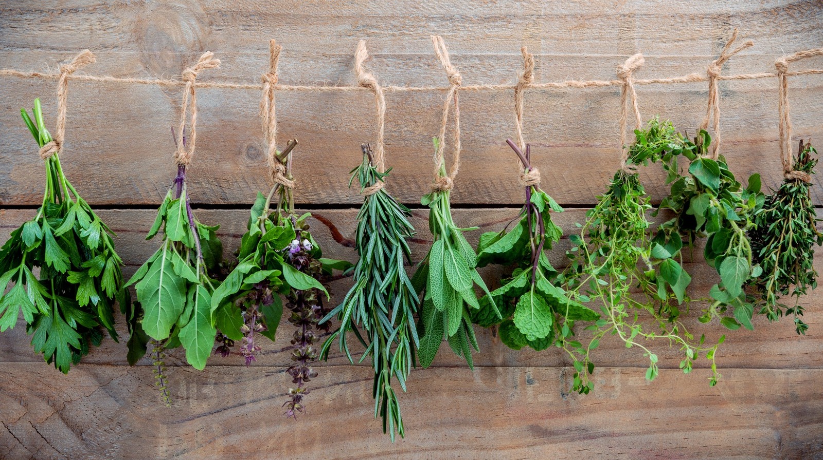 Oregano Vs. Tarragon Can You Substitute One For The Other?