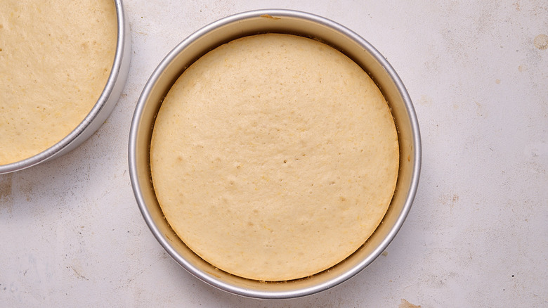 baked cake in a cake pan