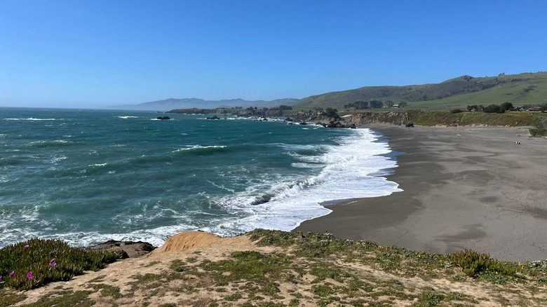 A shot of Bodega Bay located 15 minutes from Wild Flour Bread