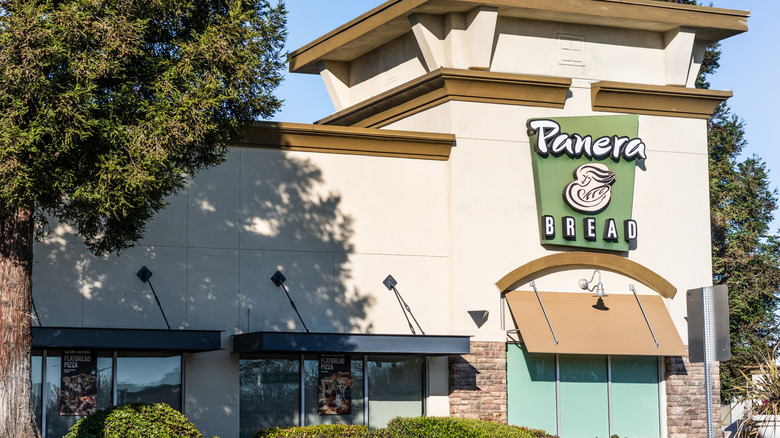 Exterior of Panera Bread store with plants