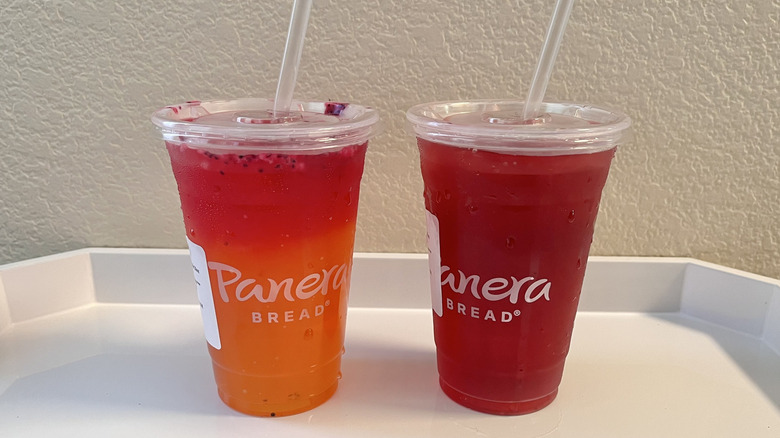 Two colorful Panera drinks on a tray