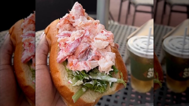 Someone holding Panera Lobster Roll
