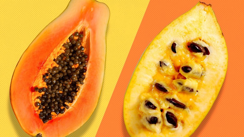 Papaya fruit next to pawpaw