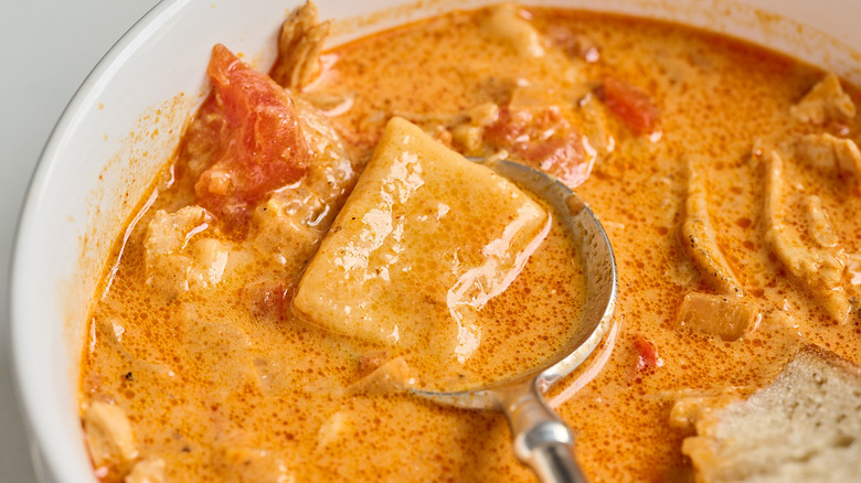 close up of a dumpling in paprikash soup
