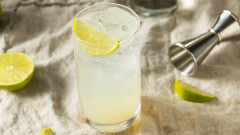 Gin rickey cocktail on fabric