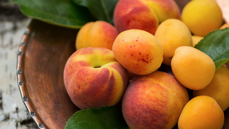 peaches and apricots 