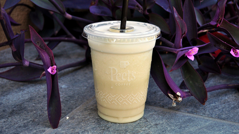 Apple Caramel smoothie in front of purple flowers