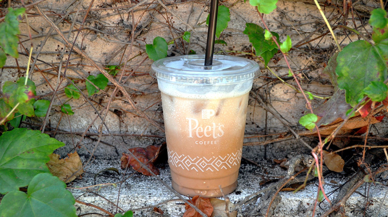 Iced pumpkin chai latte surrounded by vines