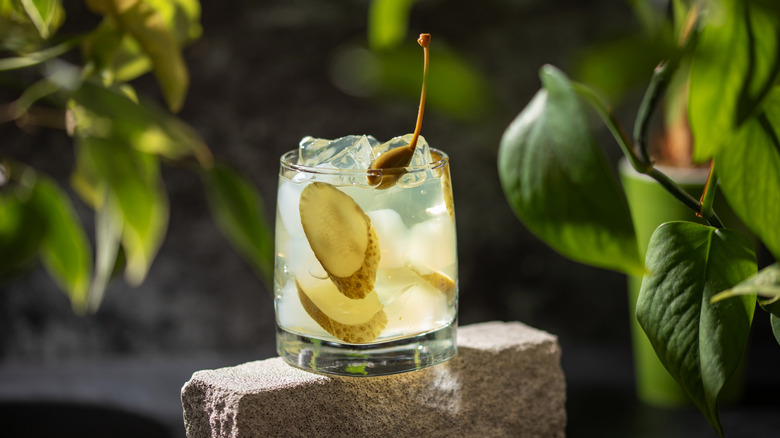 pickle juice in a garden