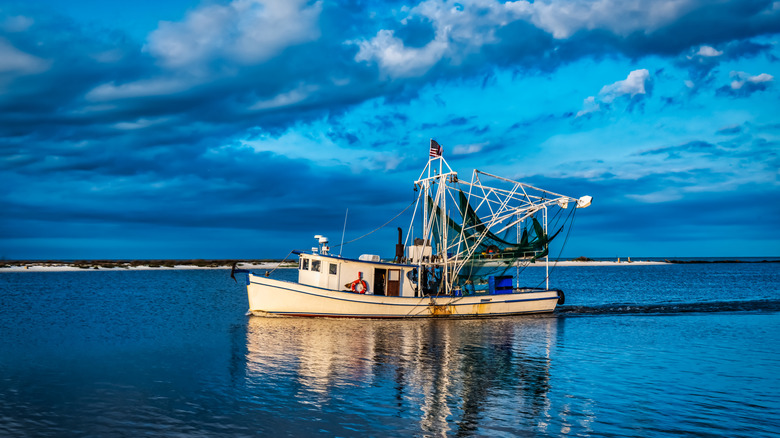 A shrimping boat in Florida