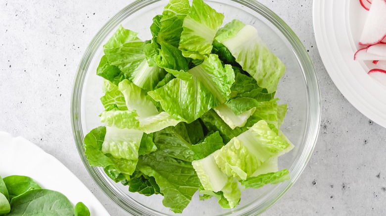bowl of chopped romaine lettuce