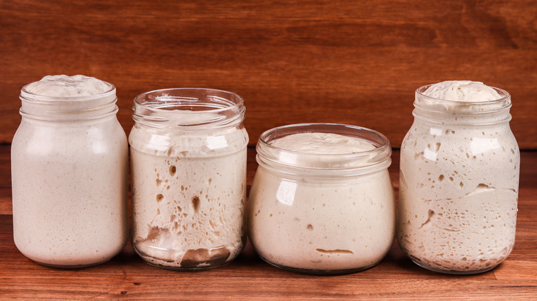 jars of pre-ferment