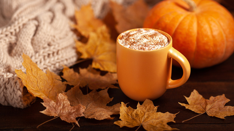 Autumn pumpkin and hot cocoa