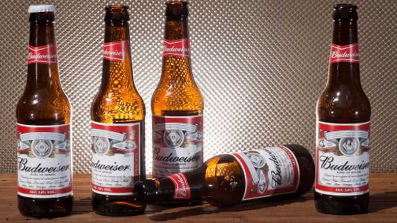 Several bottles of Budweiser on a table