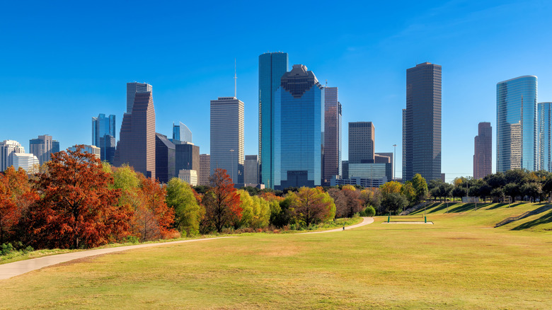 Houston skyline with park