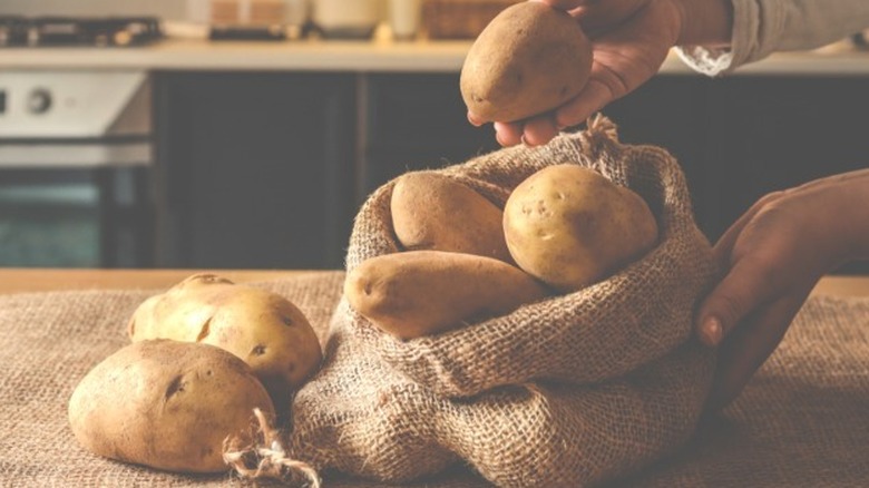 putting potatoes in a burlap bag for storage with air and in the dark