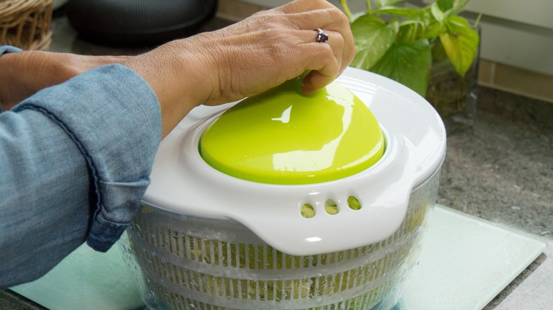 Person using a salad spinner