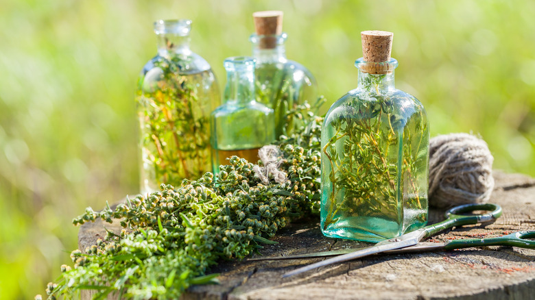 Infused herbs in vinegar bottles 