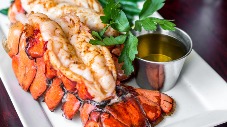 grilled lobster tail on white plate with butter