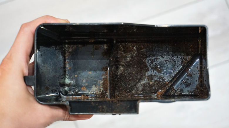 Moldy coffee drip tray