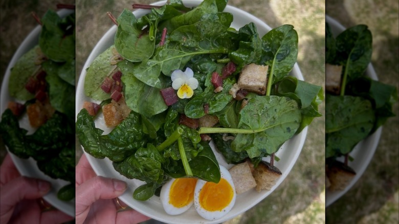 Hand holding a bowl of salad with a sliced soft-boiled egg at The Lost Kitchen