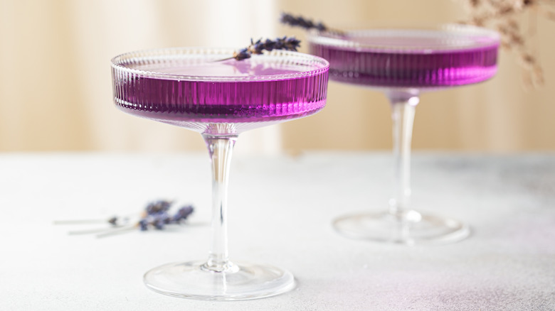 purple haze cocktail with lavendar
