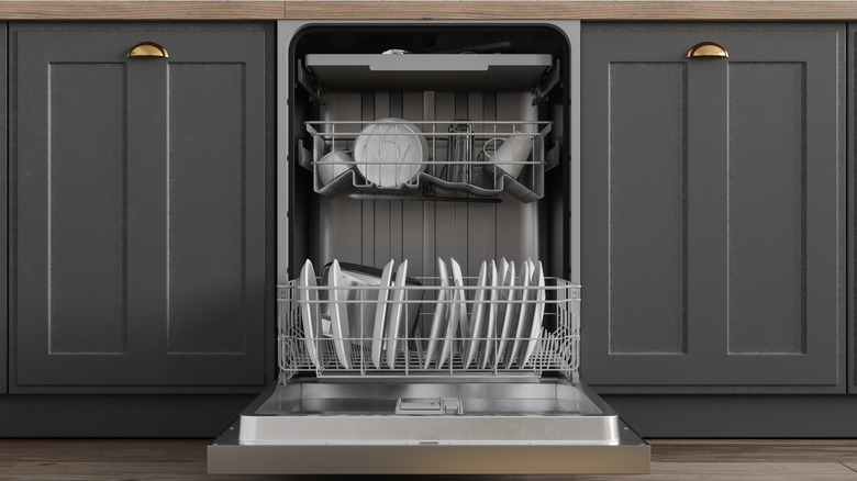 front view of open dishwasher