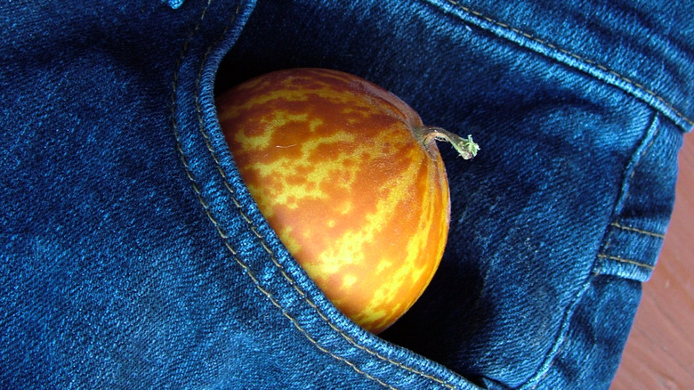 Pocket melon in pocket