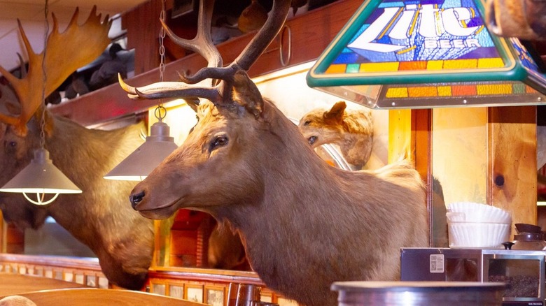 Taxidermy heads mounted on walls over booths