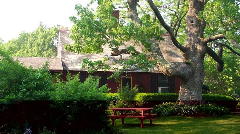 Red cottage with a picnic table and lush greenery