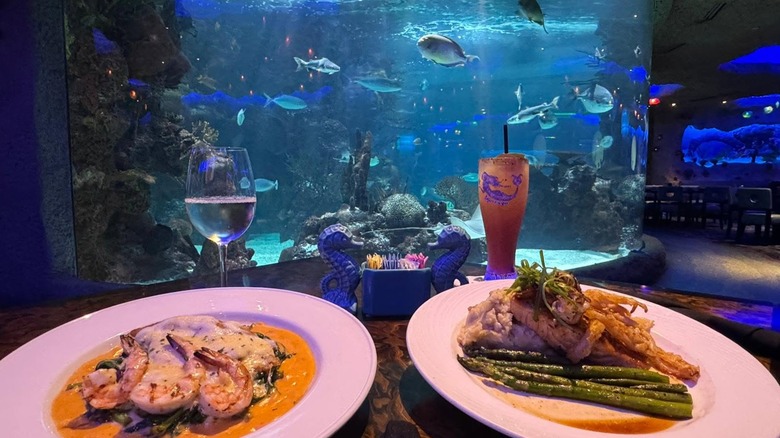 Two entrees and cocktails on a table with an aquarium in the background