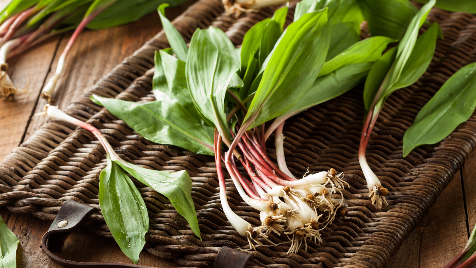 Ramps The Vibrant Spring Vegetable Bursting With Flavor Tasting