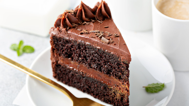 Dark chocolate cake slice on plate